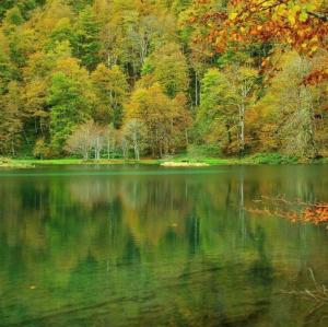 france/occitanie/etang-de-bethmale