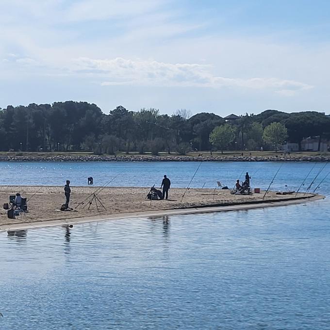 france/occitanie/la-grande-motte/pinede-du-boucanet-etang-du-ponant