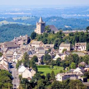 france/occitanie/laguiole