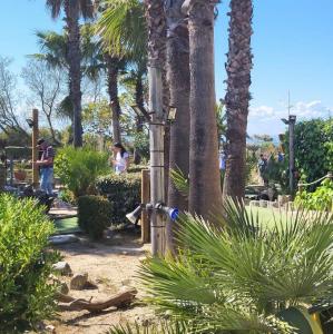 france/occitanie/le-grau-du-roi/l-aventure-mini-golf