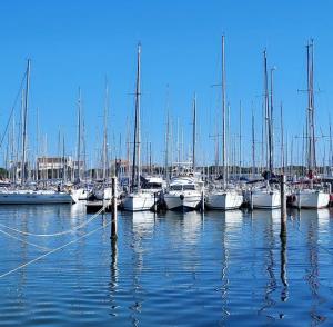 france/occitanie/le-grau-du-roi/port-camargue