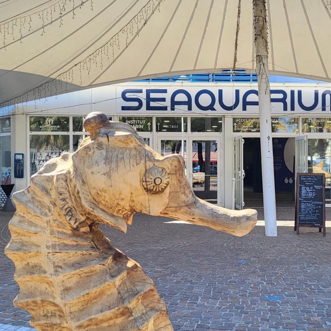 france/occitanie/le-grau-du-roi/seaquarium