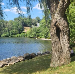 france/occitanie/lourdes/lac-de-lourdes