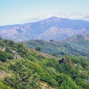 france/occitanie/massif-de-l-aigoual