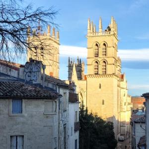 france/occitanie/montpellier/cathedrale-saint-pierre