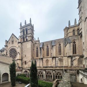 france/occitanie/montpellier/cathedrale-saint-pierre