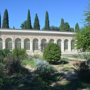 france/occitanie/montpellier/jardin-des-plantes