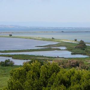 france/occitanie/parc-naturel-regional-de-la-narbonnaise-en-mediterranee