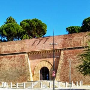 france/occitanie/perpignan/palais-des-rois-de-majorque