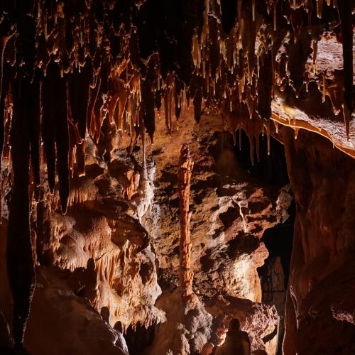 france/occitanie/saint-antonin-noble-val/grotte-du-bosc