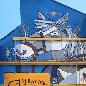 france/occitanie/tarbes