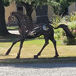 france/occitanie/tarbes/haras