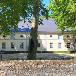 france/occitanie/tarbes/haras