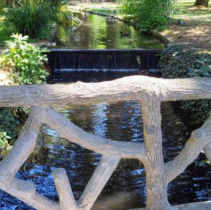 france/occitanie/tarbes/jardin-massey