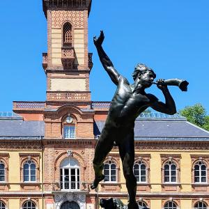 france/occitanie/tarbes/musee-massey