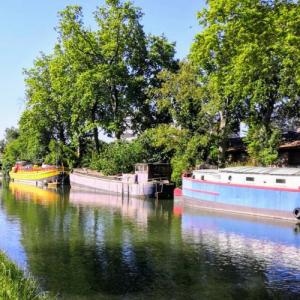 france/occitanie/toulouse/canal-du-midi