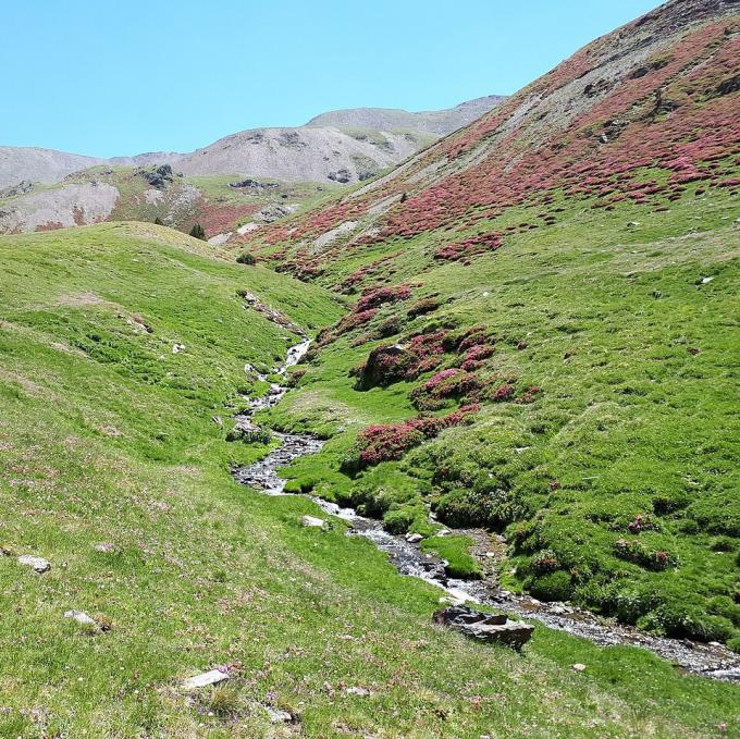 france/occitanie/vallee-d-eyne