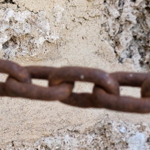 france/pays-de-la-loire/abbaye-de-maillezais