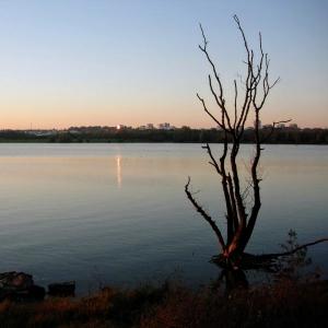 france/pays-de-la-loire/angers/parc-du-lac-de-maine