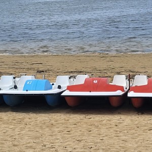 france/pays-de-la-loire/batz-sur-mer