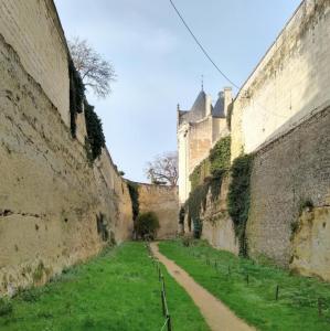 france/pays-de-la-loire/chateau-de-breze