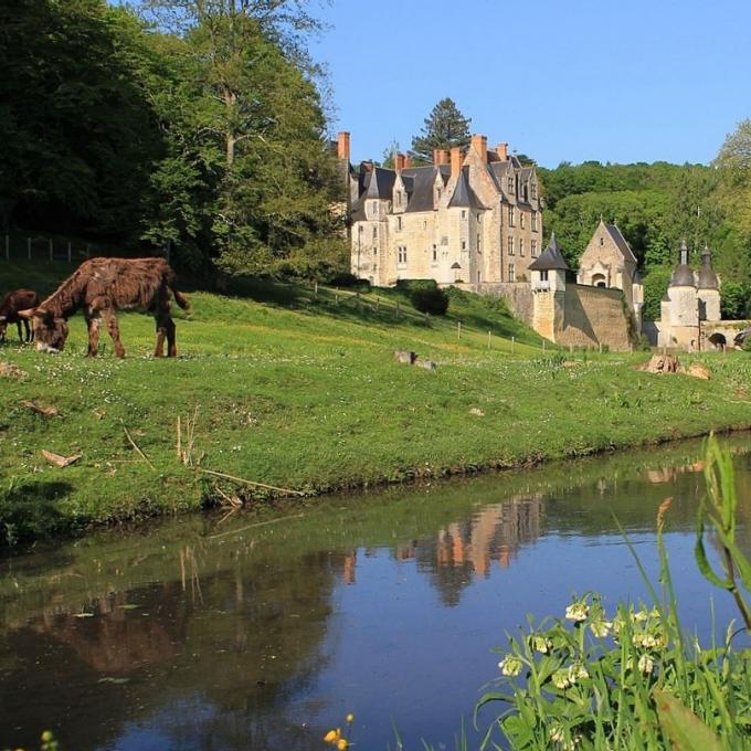 france/pays-de-la-loire/chateau-de-courtanvaux