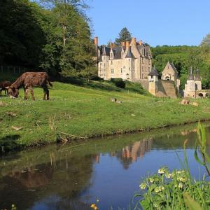 france/pays-de-la-loire/chateau-de-courtanvaux