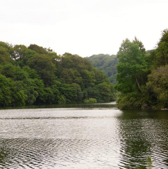 france/pays-de-la-loire/foret-de-mervent-vouvant