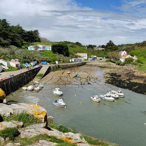 france/pays-de-la-loire/ile-d-yeu/port-de-la-meule