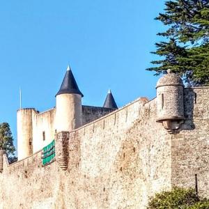 france/pays-de-la-loire/ile-de-noirmoutier/chateau-de-noirmoutier