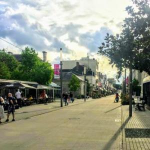 france/pays-de-la-loire/la-roche-sur-yon/rue-georges-clemenceau