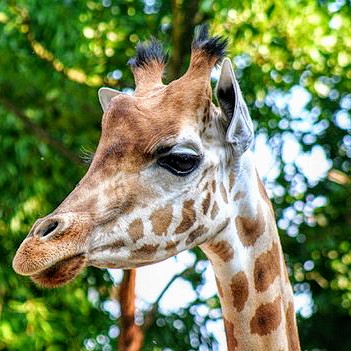 france/pays-de-la-loire/les-sables-d-olonne/zoo-des-sables