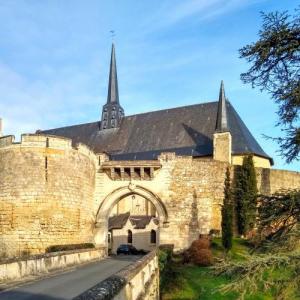 france/pays-de-la-loire/montreuil-bellay/eglise-saint-pierre