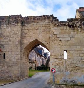 france/pays-de-la-loire/montreuil-bellay/porte-du-moulin