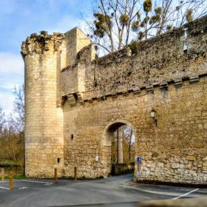 france/pays-de-la-loire/montreuil-bellay/tour-de-boelle