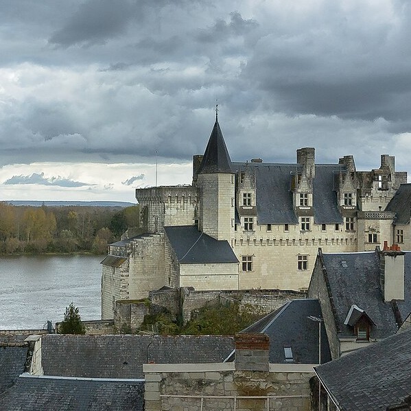 france/pays-de-la-loire/montsoreau