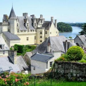 france/pays-de-la-loire/montsoreau