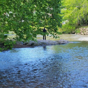 france/pays-de-la-loire/parc-naturel-regional-normandie-maine