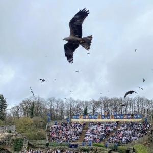 france/pays-de-la-loire/puy-du-fou