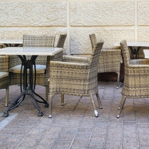 france/pays-de-la-loire/saint-cyr-en-talmondais