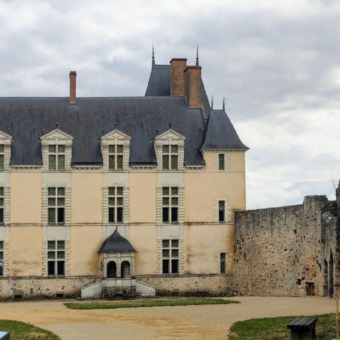 france/pays-de-la-loire/sainte-suzanne-et-chammes/chateau