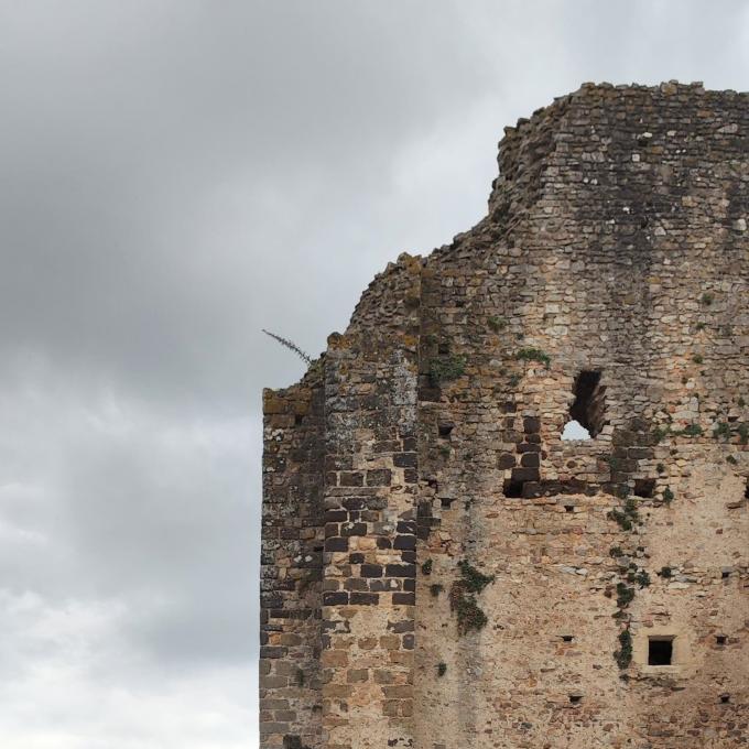 france/pays-de-la-loire/sainte-suzanne-et-chammes/donjon