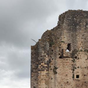 france/pays-de-la-loire/sainte-suzanne-et-chammes/donjon