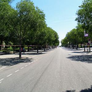 france/provence-alpes-cote-d-azur/arles/boulevard-des-lices