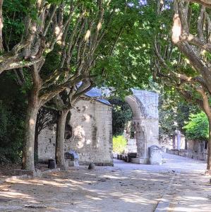 france/provence-alpes-cote-d-azur/arles/les-alyscamps-eglise-saint-honorat