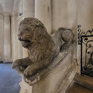 france/provence-alpes-cote-d-azur/arles/mairie