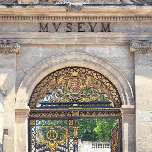 france/provence-alpes-cote-d-azur/avignon/musee-calvet