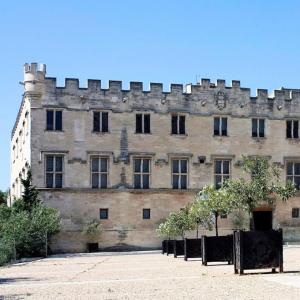 france/provence-alpes-cote-d-azur/avignon/musee-du-petit-palais