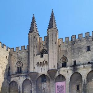 france/provence-alpes-cote-d-azur/avignon/palais-des-papes