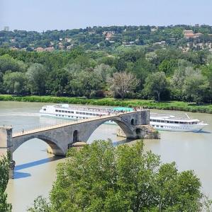 france/provence-alpes-cote-d-azur/avignon/pont-d-avignon